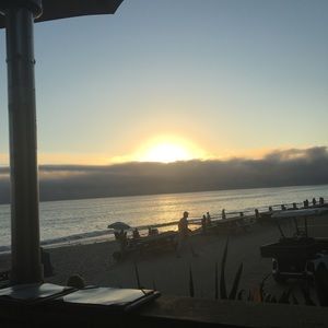 Meet your Posher, Barbara